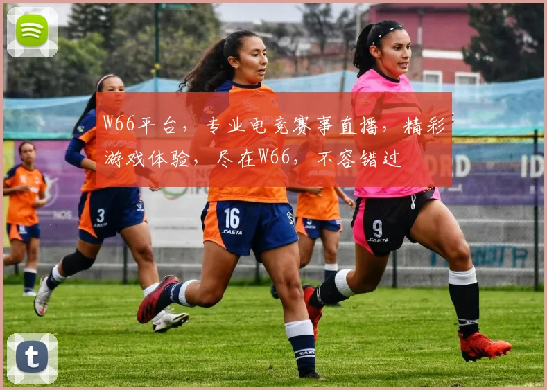 W66平台，专业电竞赛事直播，精彩游戏体验，尽在W66，不容错过