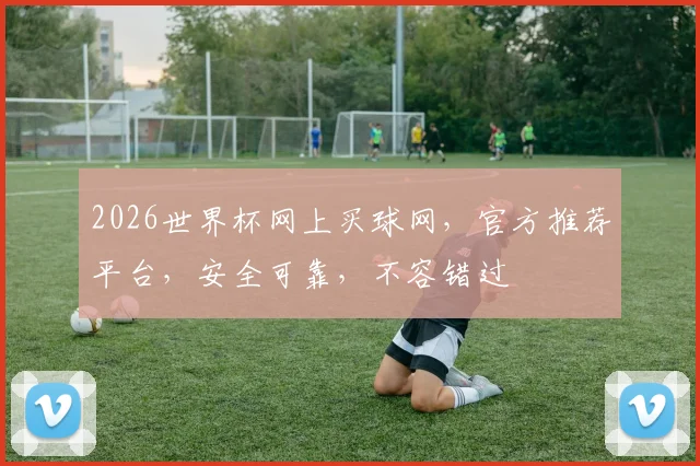 2026世界杯网上买球网，官方推荐平台，安全可靠，不容错过