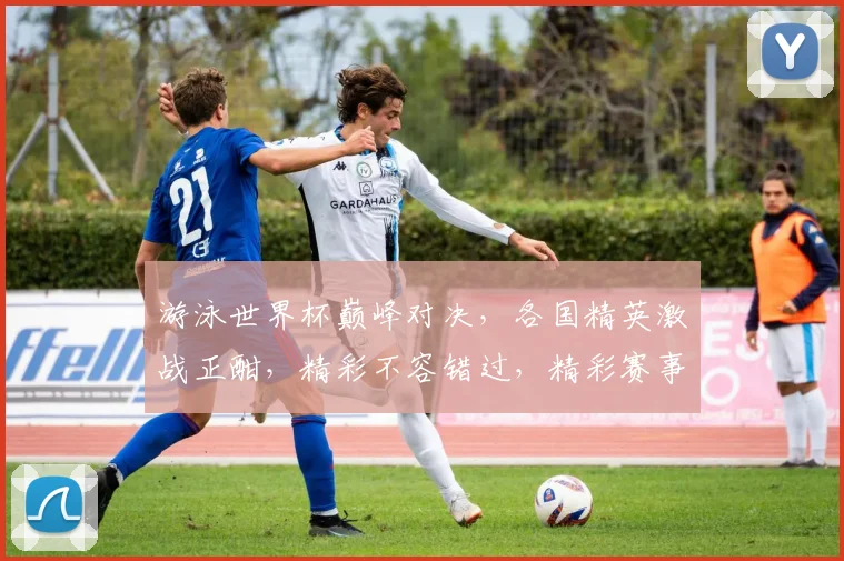 游泳世界杯巅峰对决，各国精英激战正酣，精彩不容错过，精彩赛事不容错过，敬请关注