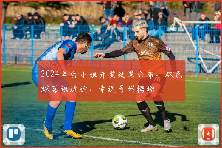 2024年白小姐开奖结果公布，双色球喜讯连连，幸运号码揭晓