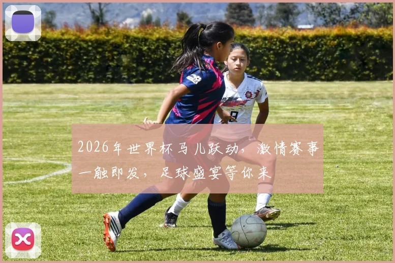 2026年世界杯马儿跃动，激情赛事一触即发，足球盛宴等你来